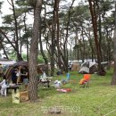 송호관광지 이미지