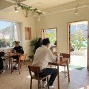 벚꽃로 | 정읍 벚꽃로 축제 이쁜카페 카페로라 후기