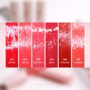 엠엘보스 | Flynn 플린 일루션 코팅틴트 전색상 발색 : 글로시무드 오일코팅 틴트추천