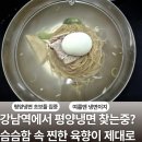 피양옥 | [강남역 맛집] 슴슴한 깊은맛의 평양냉면 전문점 ✨️피양옥 솔직 후기