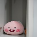 아나덴슈가링왁싱분당정자역점