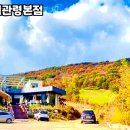 하설채