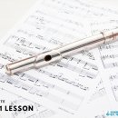 플룻 (고급) 이미지