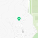 포레스트 하우스 애견유치원 이미지