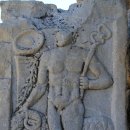 하나로가축병원 이미지