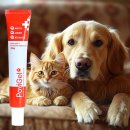 (주)이엘티사이언스 이미지