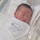11650-7-6-1 | [출산일기] 포항여성아이병원 제왕절개 6박7일 입원후기(1~3일차)