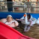 금오동천1번지가든 이미지