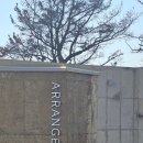 굿포항소식 ㈜ | 포항 핫플 오션뷰 대형 카페 ‘어레인지먼트’ 두바이 디저트와 인생샷 명당 솔직후기