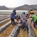 둥지지역아동센터 이미지