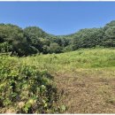 설악공인중개사사무소 이미지