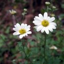 파란들농장 이미지