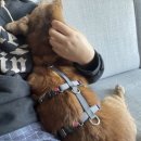 씨스페이스24 퇴계원공원점 | #6 3월을 황급히 마무리하며