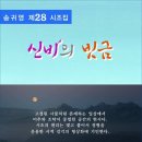 신비의 빗금 (전자책) 이미지