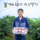 루비마켓