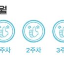 양재(주간) 이미지