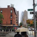 헬스키친 이미지