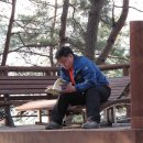 청성애원