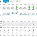 ⭐️일기 예보 및 안내사항⭐️ 이미지