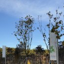 아난티 앳 부산 빌라쥬 식당가 이미지