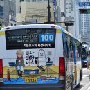 5336 | 2024 부산 마린버스 100번 70자 5336 시내버스 탑승 해운대 송정 바다 여행