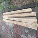 나무벤치 이미지