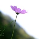 연수고가 밑 이미지