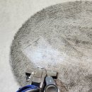 위생세탁전문 이미지