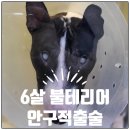 더힐링동물병원 이미지