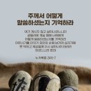 부활의 약속을 품기까지 (눅24:1-12) 이미지