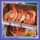 후포리수산물마트 이미지