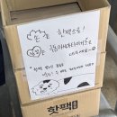 영임해피가/예린펠리시티 | 얼마나 열심히 놀수있는지 아르켜줄께 (부제: 내가홍대에살았다면 매일 빨간버스 왕복 비용 7200...