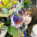 로즈앤캔디 이미지