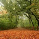 대림주택 이미지