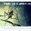 환상적인 테 레랑아 (Te Reranga) 터널 무료 글로우웜 투어 @ 텍트(TECT) 파크 이미지