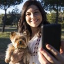 조인트 동물병원 이미지