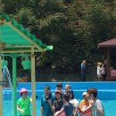 물놀이- 장흥유치자연휴양림 이미지