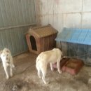 호구농장 이미지