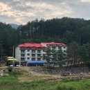 숲사이길펜션 이미지