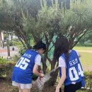 양현고등학교 이미지