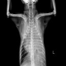 그랜드24시동물병원 이미지