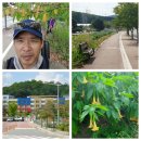 반월호수길 이미지