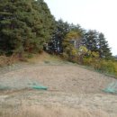 강림면316 이미지