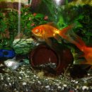 구로-구로-구로-2612 이미지