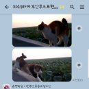 하늘푸드