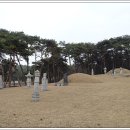 반남박씨 묘역 이미지