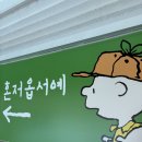 타슈카협동조합 | 제주도 퍼시픽렌터카 캐스퍼 렌트 내돈내산 후기, 제주도 렌트 추천