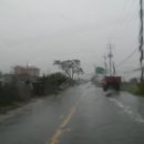 임회면 십일시장 이미지