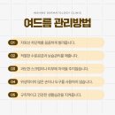 인샤인
