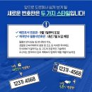 대전 신형 번호판 무료 교체 하는 곳 교체 후기 / 무료 교체 조건까지 알아보기